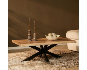 Boomstam salontafel Live Edge 120x60 cm