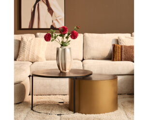 Salontafel Luna | Gold | Set van 2