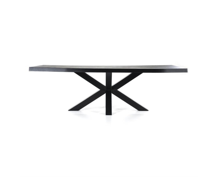 Boomstam tafel met spinpoot zwart- 240x100 | Eleonora