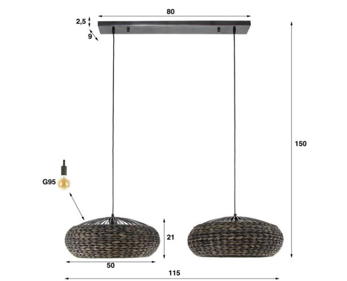 Hanglamp 2x disk waterhyacint - Zwart nikkel
