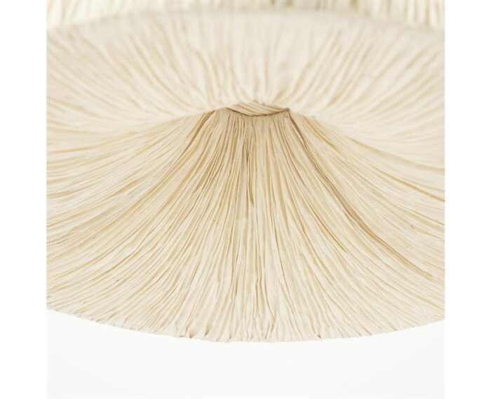 Pendant lamp Lokta 1 - natuurlijk | BY-BOO