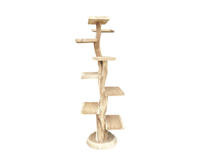 Suar Tree Sculpture Square Plateau 200