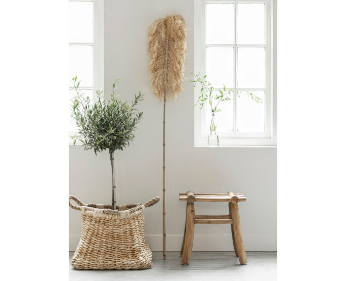 sisal blad