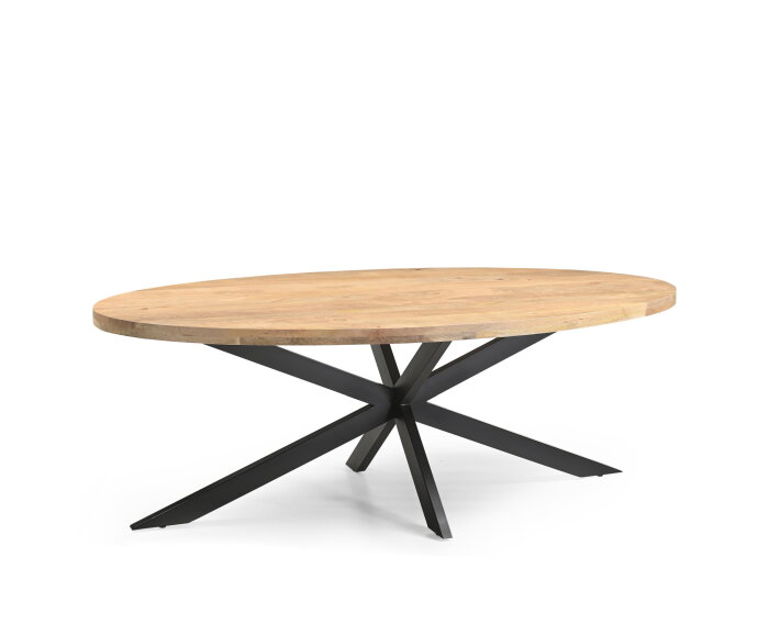 Eetkamertafel Ellips 25+25 240