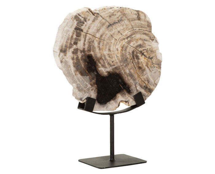 statue Fossil