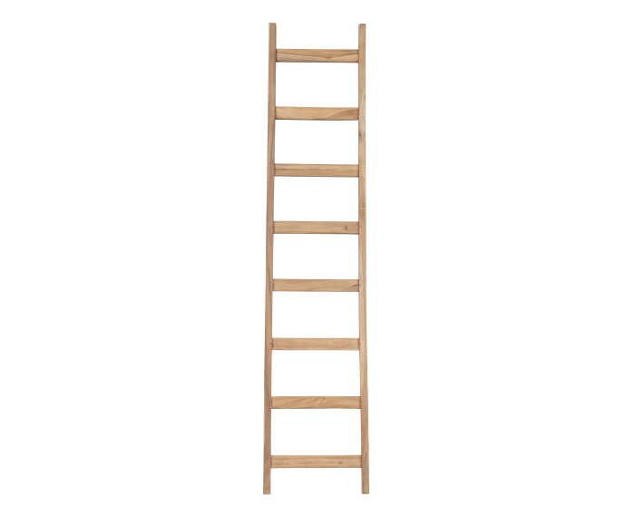 ladder Steps