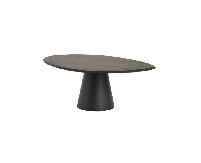 Salontafel Flare 120 cm mangohout - Zwart | Nijwie