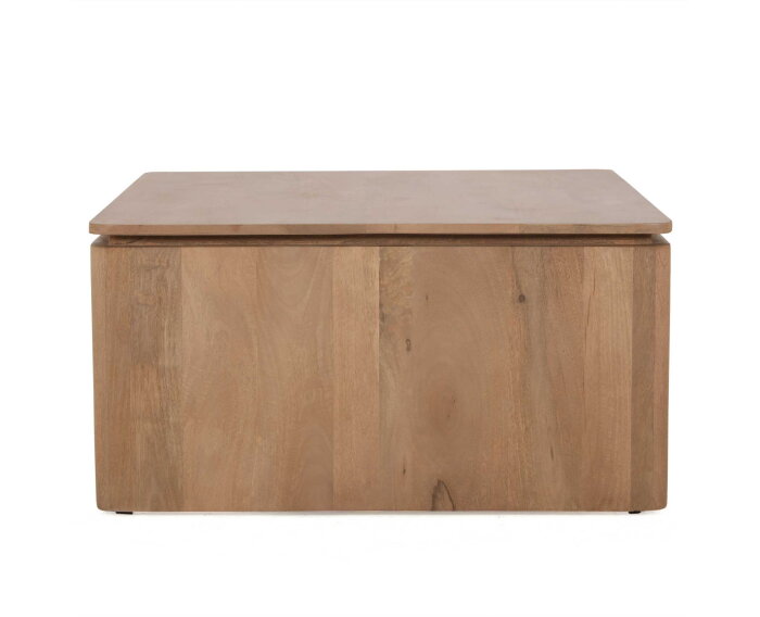 Vierkante Salontafel Dallas Naturel Mangohout 80 cm