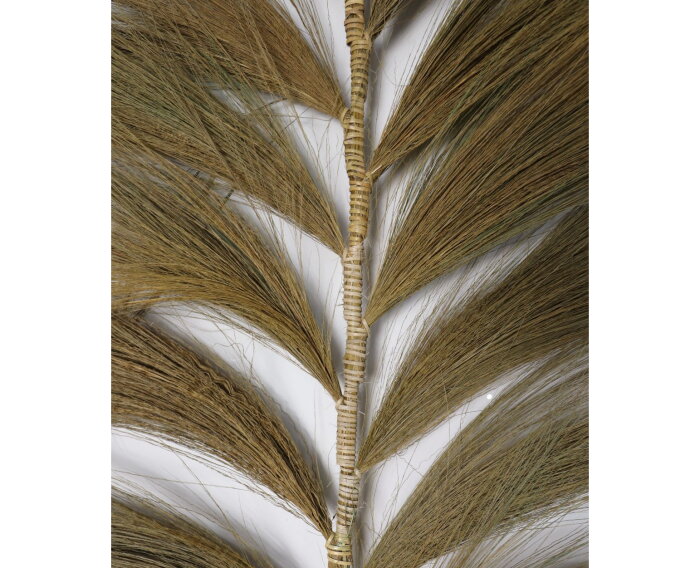 Decoratieve veer - 65x2x220 - Naturel/sage green - Bamboe