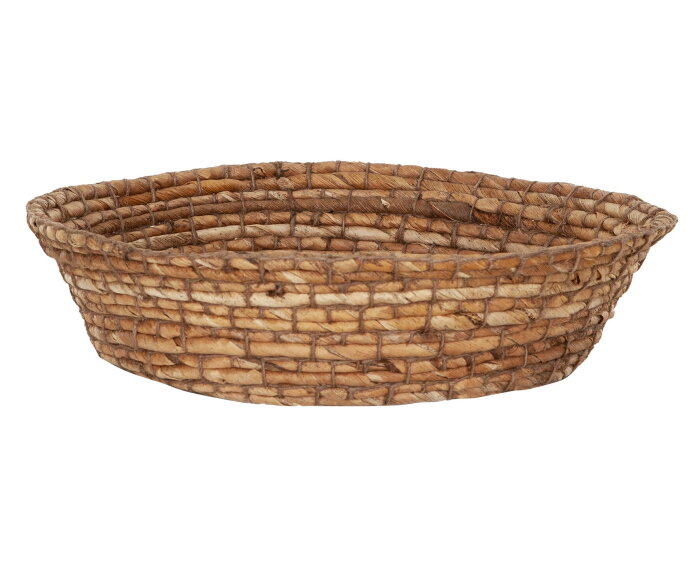 mand Santa Gertrudis