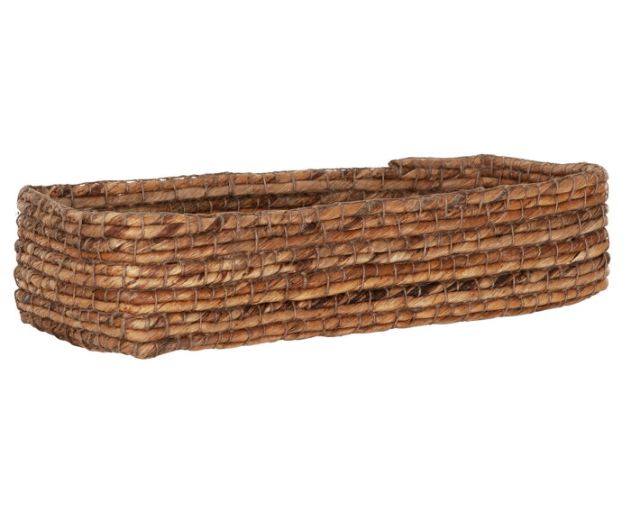 broodmand Santa Gertrudis