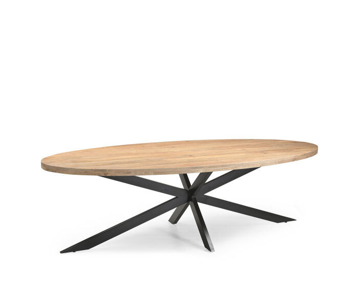 Eetkamertafel Ellips 25+25 270