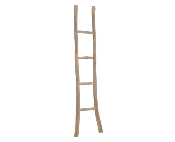 ladder Must Have