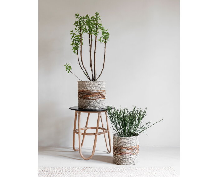 manden Carvoeiro large