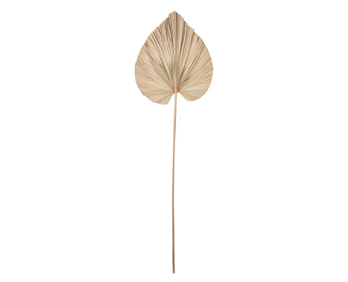 palmblad small