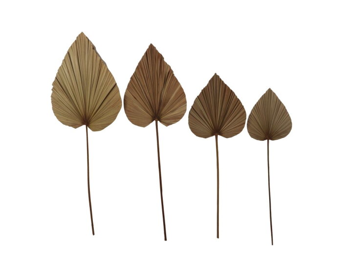 Decoratief palmblad set van 4 - Naturel - Palmblad