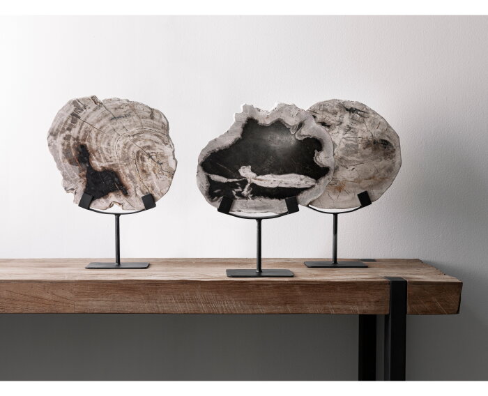 statue Fossil
