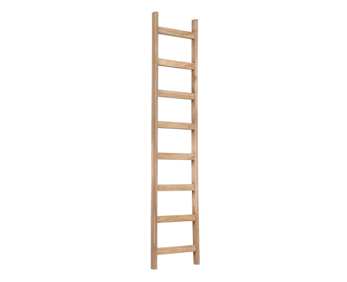 ladder Steps