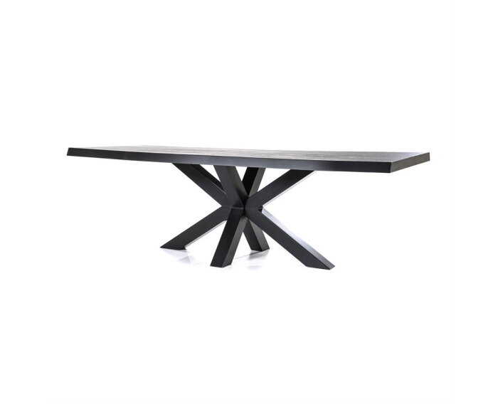 Boomstam tafel met spinpoot zwart- 240x100 | Eleonora