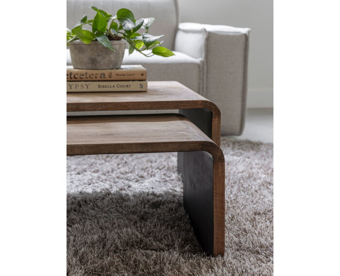 DTP home Evo salontafel teakhout 110x50x35 cm