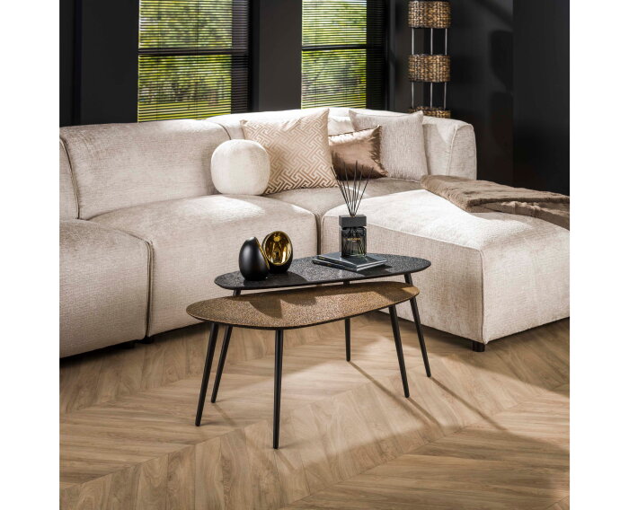 Salontafel Oregon set van 2 niervormig metallic - Brass/Grijs