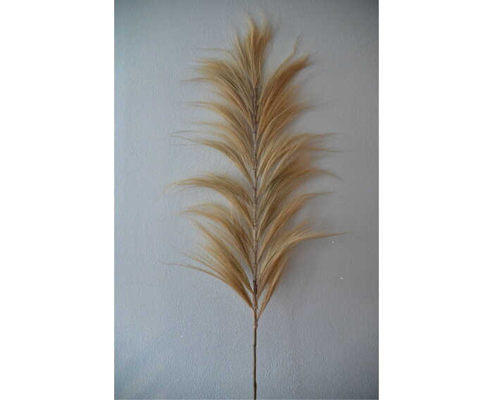 Decoratieve veer - 65x2x220 - Naturel - Bamboe