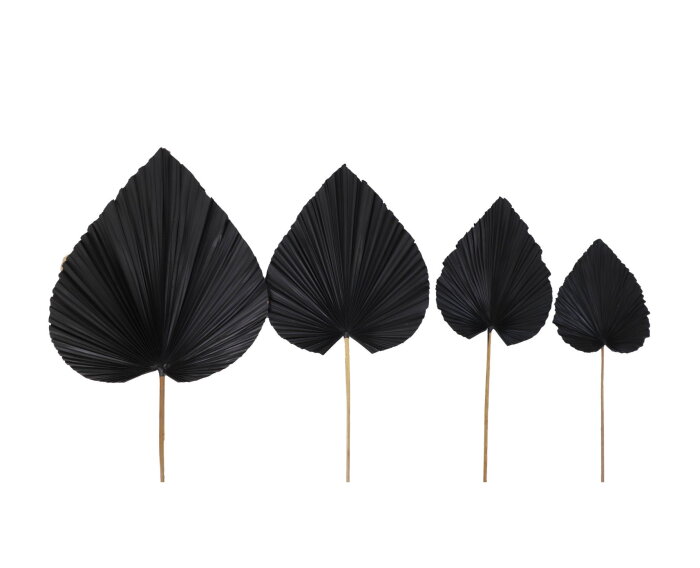 Decoratief palmblad set van 4 - Zwart - Palmblad