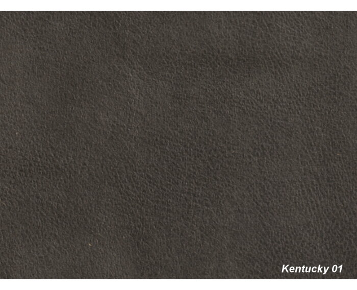 Hoekbank Bravino antraciet - kentucky 01 lederlook &ndash; Ottomane links &ndash; 275x210 cm