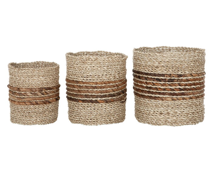 manden Carvoeiro small