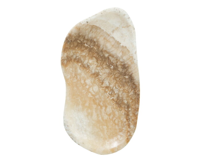 plate Bean