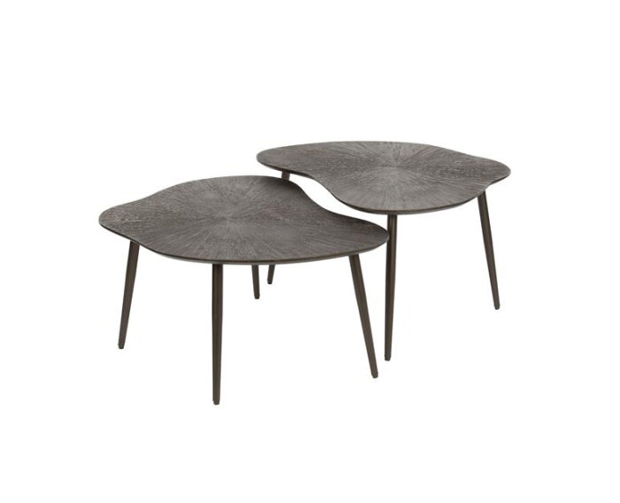 Salontafel set/2 leaf ray metal / Bruin brons - Brons donkerbruin