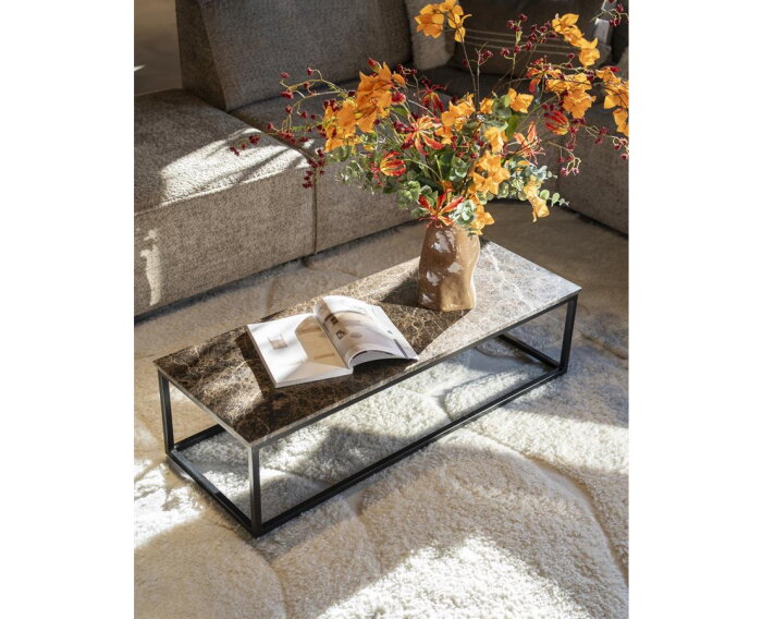 Salontafel Rico rechthoek 120x45cm - zwart | Eleonora