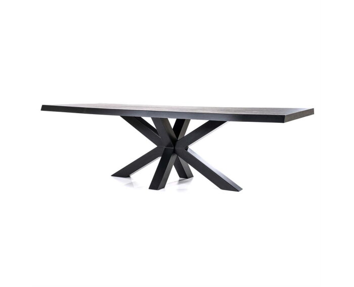 Boomstam tafel met spinpoot zwart- 300x100 | Eleonora