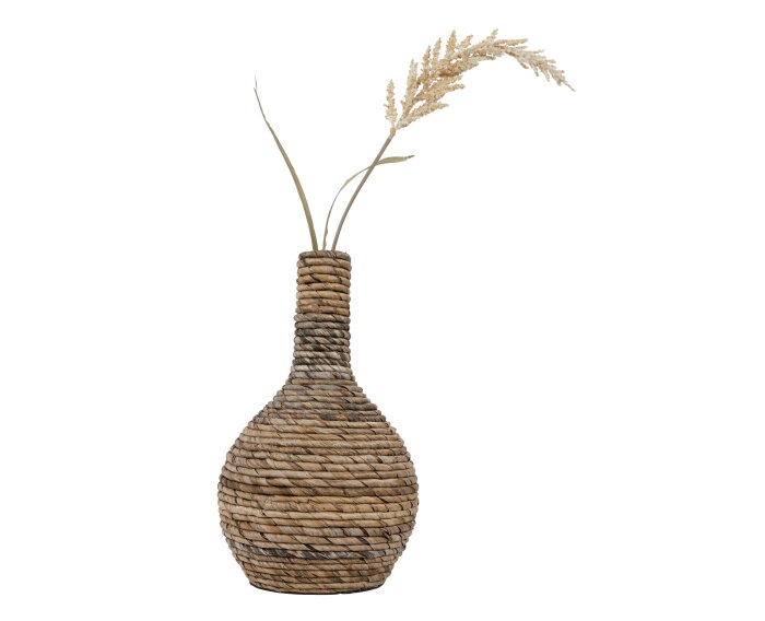 vaas Onion small