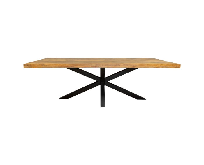 Eetkamertafel Denver | Rechthoek matrixpoot | 160 cm