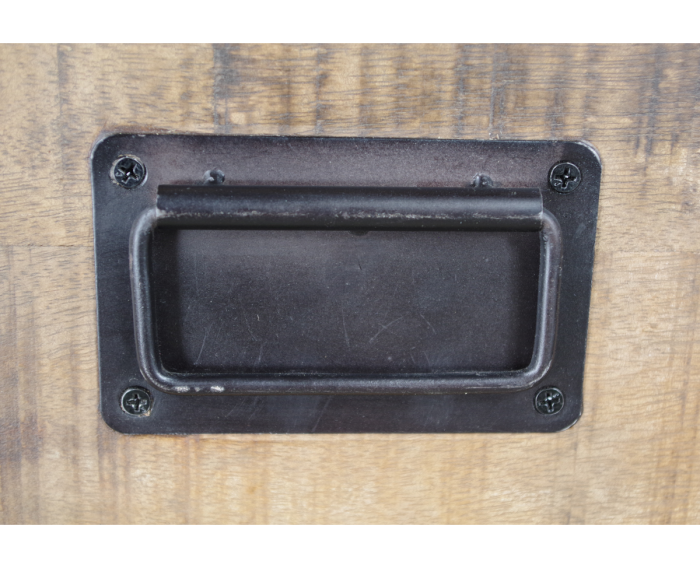 Kabinet kast Bradley mangohout - 100x42x190 cm