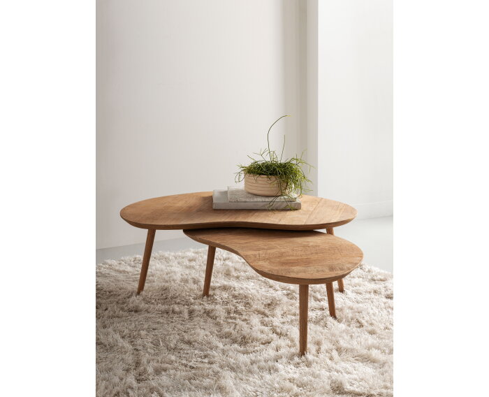 Apollo salontafel set van 2