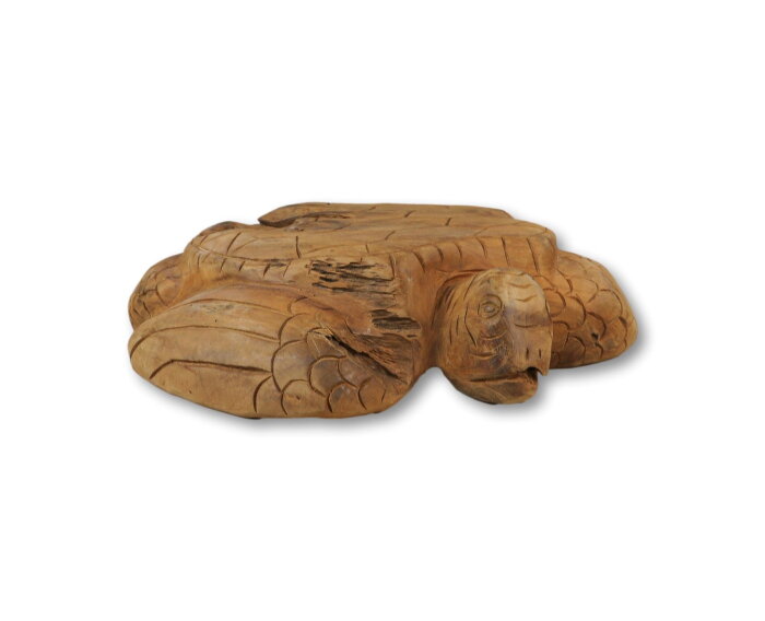 Decoratieve schildpad Root - blank - teak