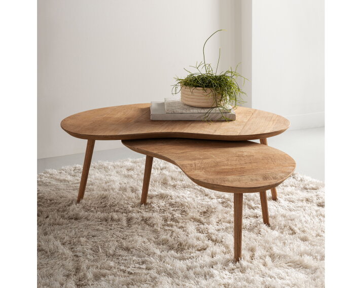 Apollo salontafel set van 2