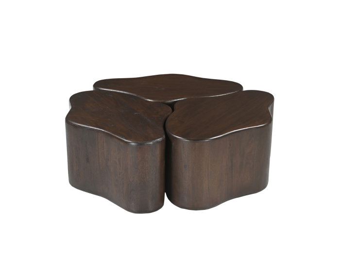 Salontafel Elara Mangohout Bruin 115 cm