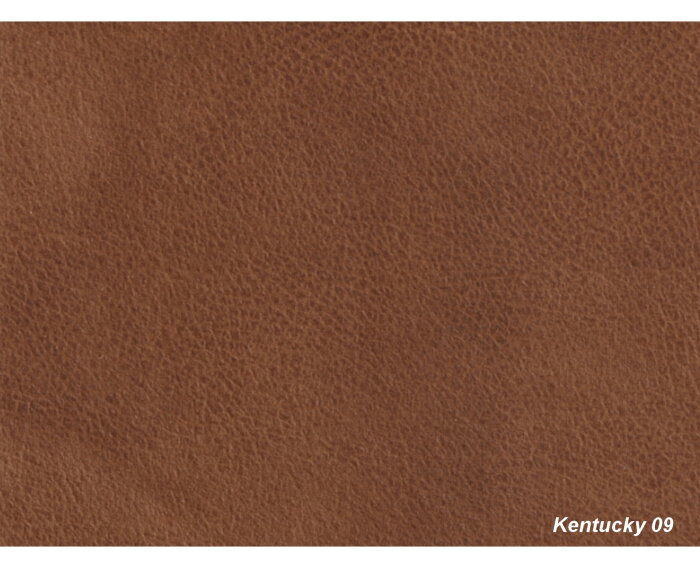 Hoekbank Bravino cognac - kentucky 09 lederlook &ndash; Ottomane rechts &ndash; 275x210 cm