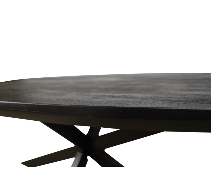 Eettafel Colorado ovaal mangohout 180x100 cm - Zwart